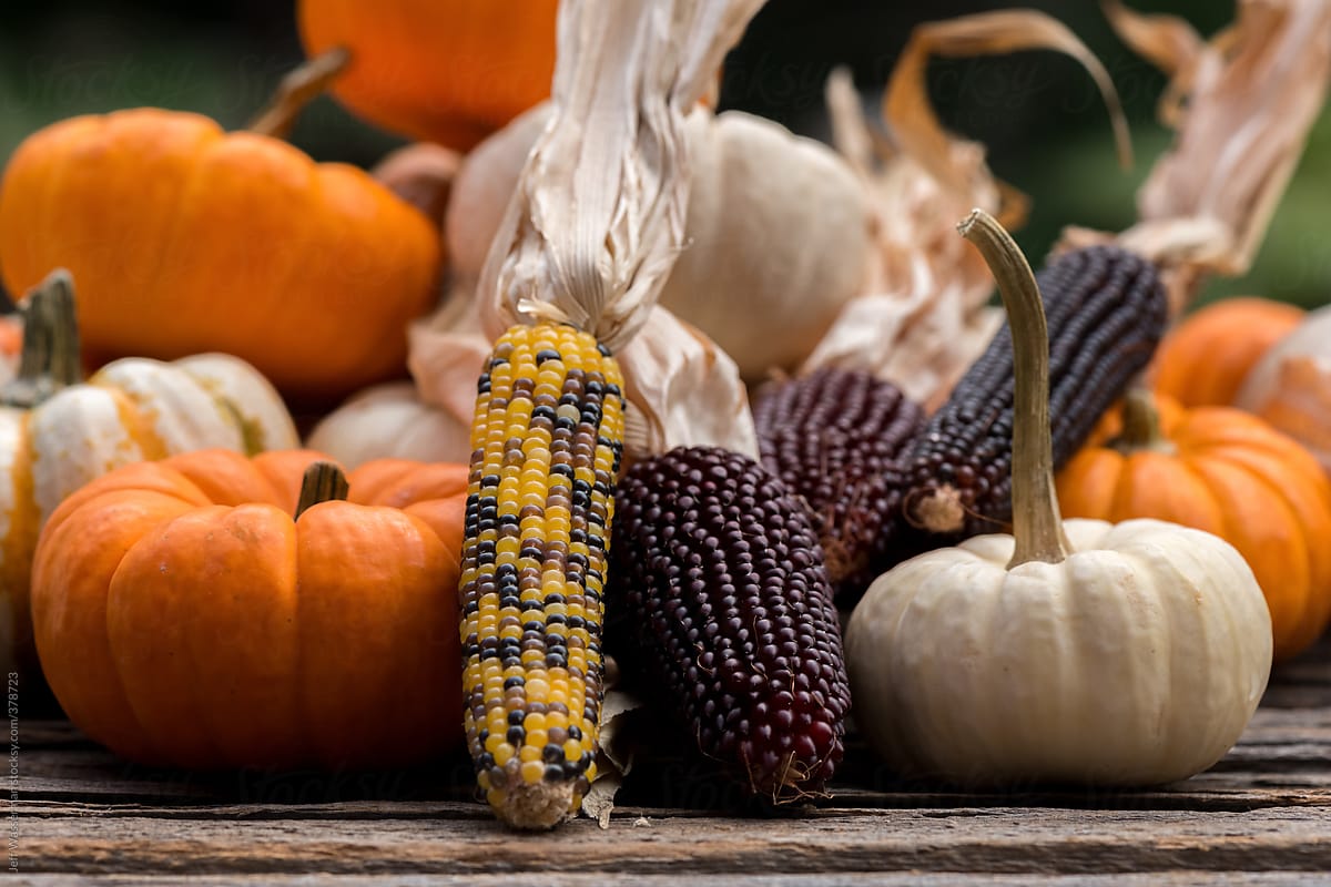 Arrangement of Pumpkins and Corn