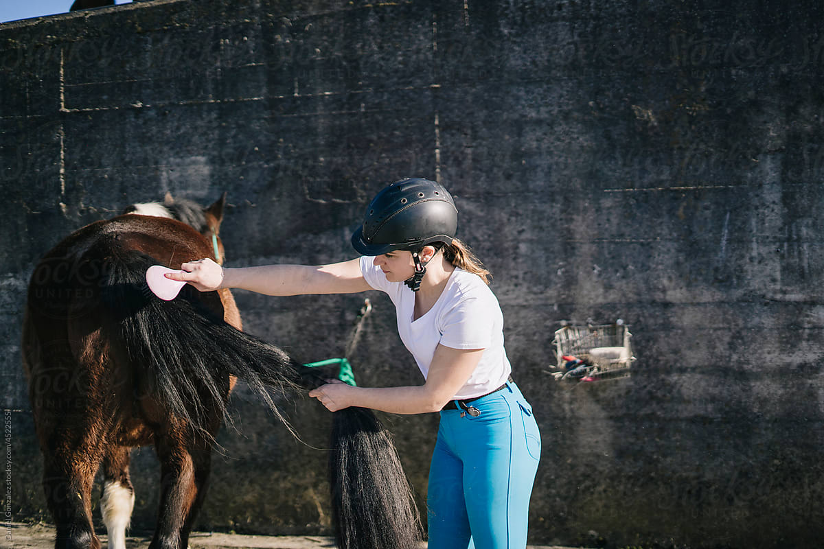Horsewoman brushing tail of horse near wall