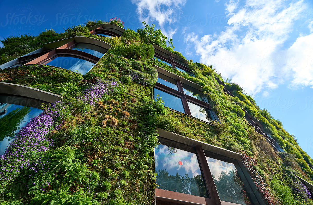 Vertical garden living green wall climate adaptation for urban cooling
