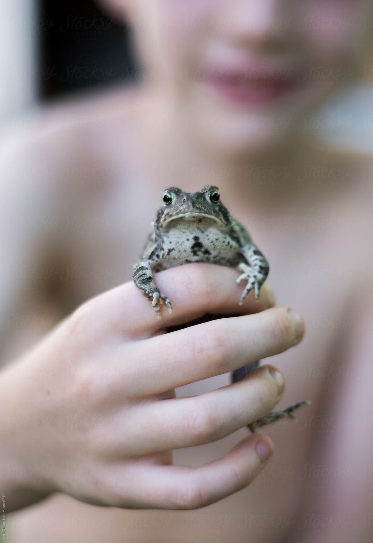 Child holds a toad he caught in his backyard