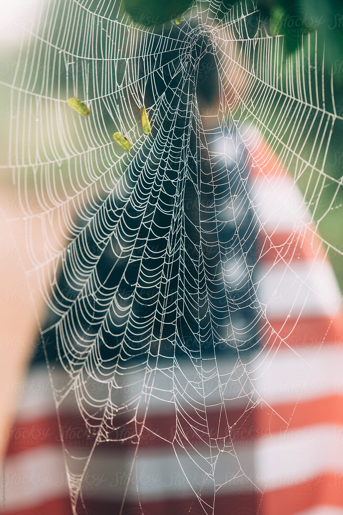 American flag covered by a spider web or cobweb