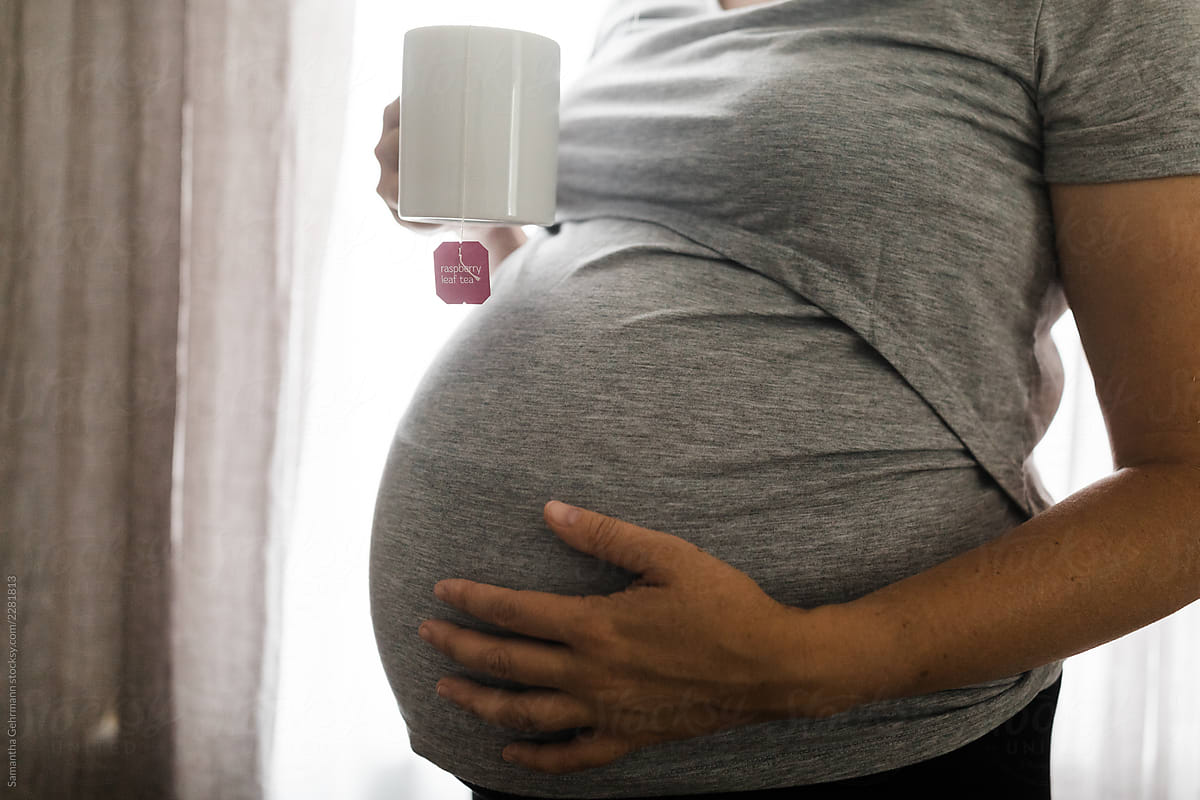 Full Term Pregnant Belly And Raspberry Leaf Tea By Samantha Gehrmann 