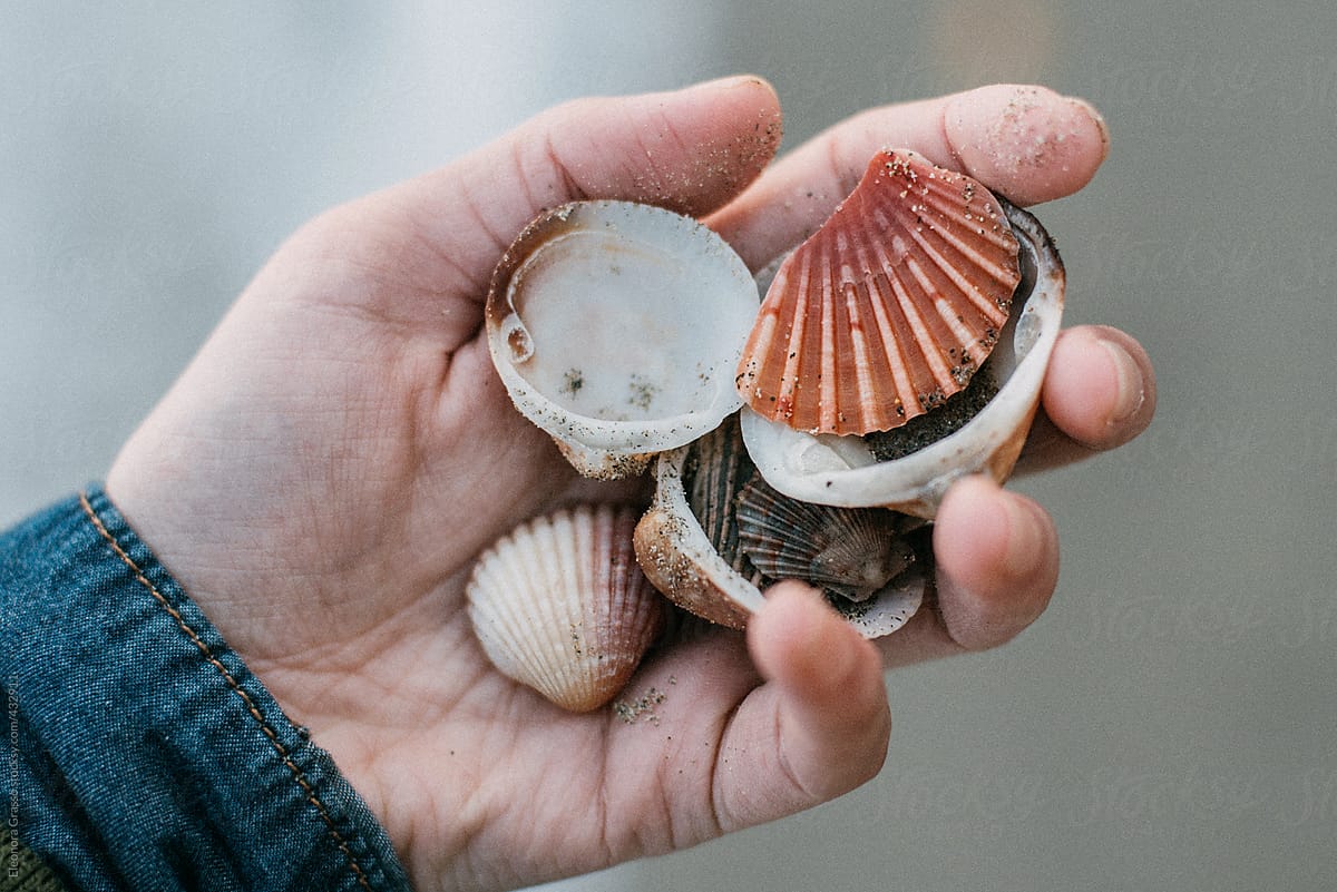 Finding shells in an Autumn beach