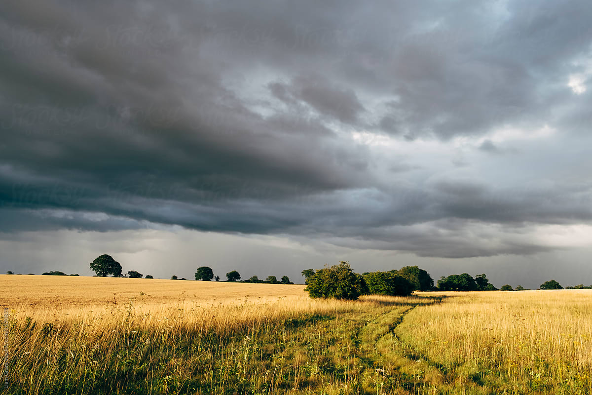Clouds and rain over a sunlit field. Norfolk, UK.