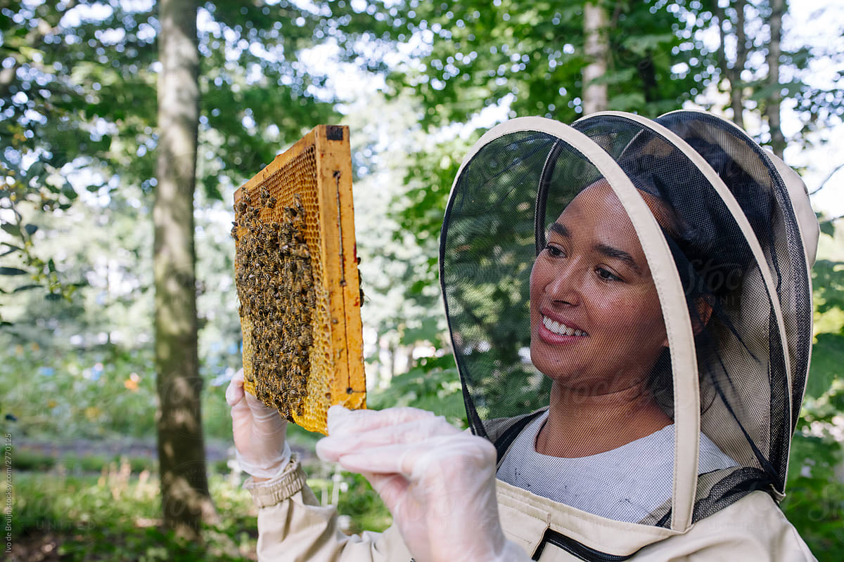 Female beekeeper checking her bee hive for bees and honey.