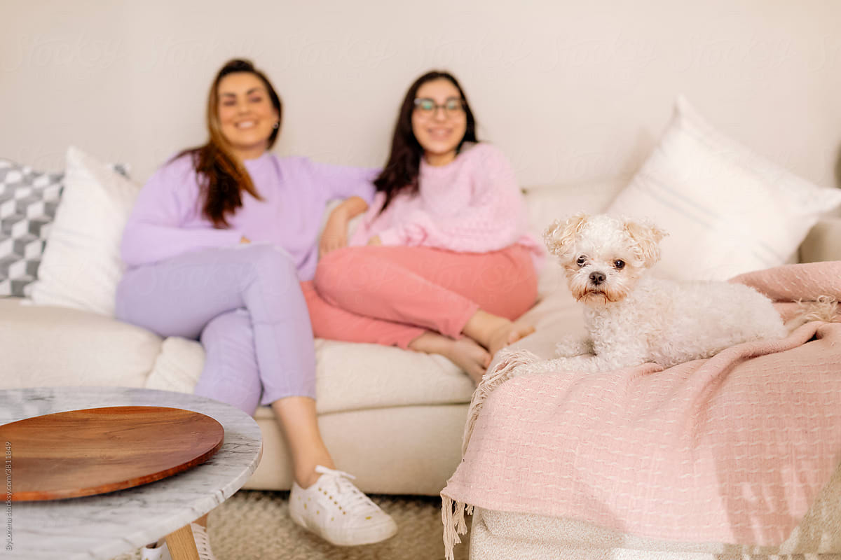 Dog, woman, and girl at sofa