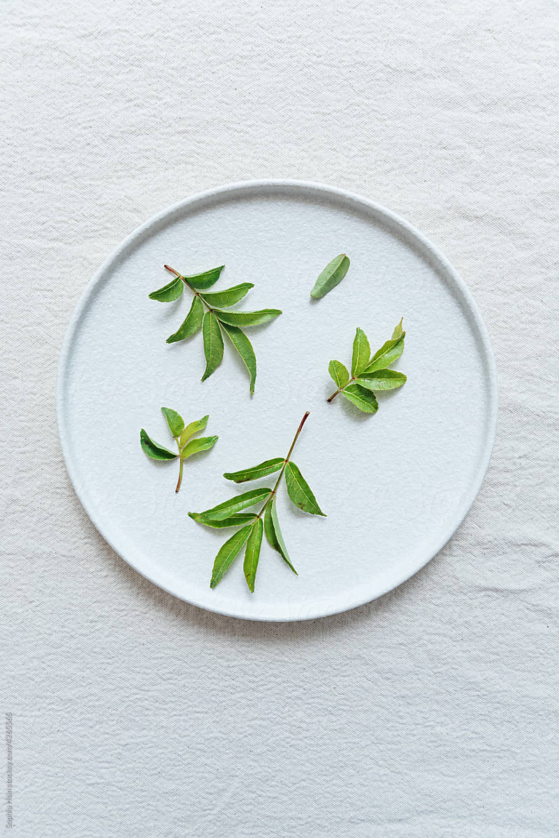 Sansho (Japanese pepper) leaves on a ceramic plate