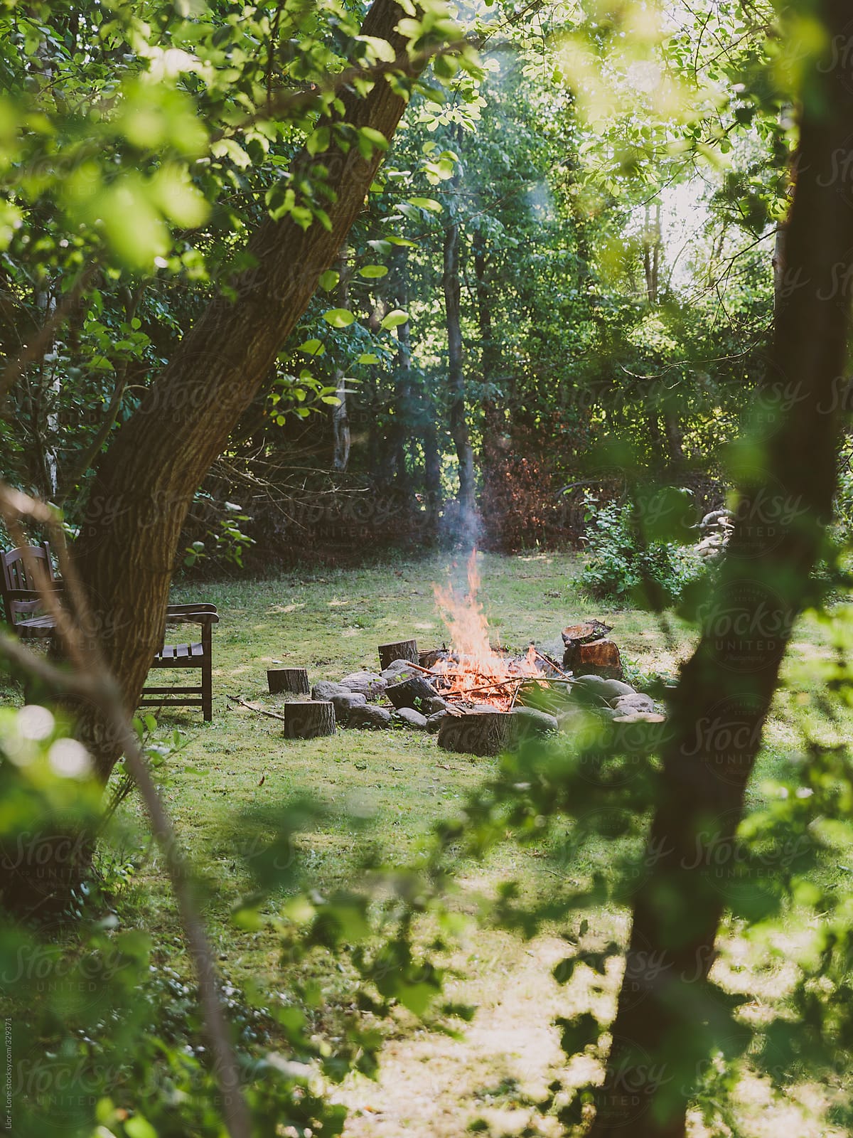Wood fire in garden