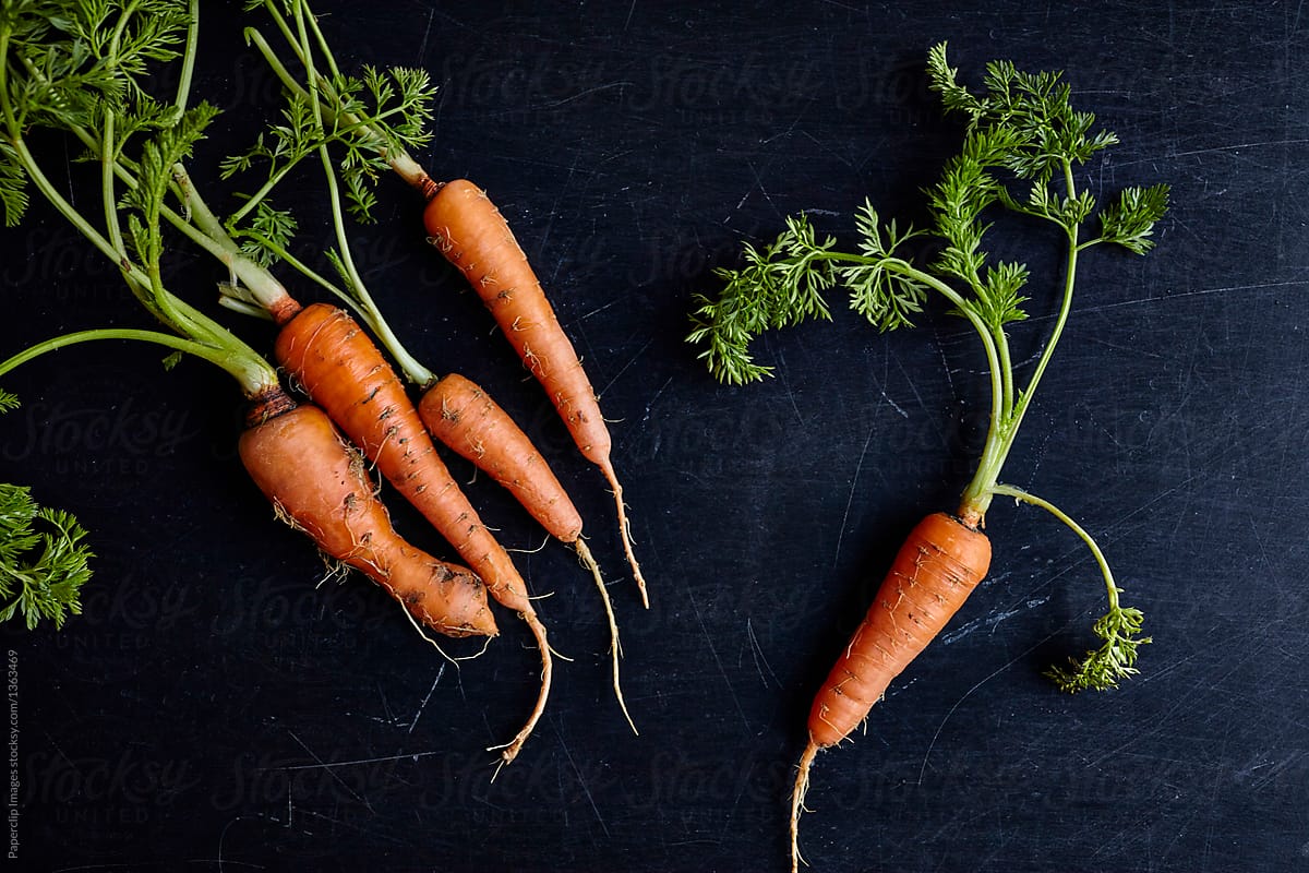 Включи морковь про новый. Морковь витамины. Морковь Pro. Беби морковь. Морковка для диетического материала.