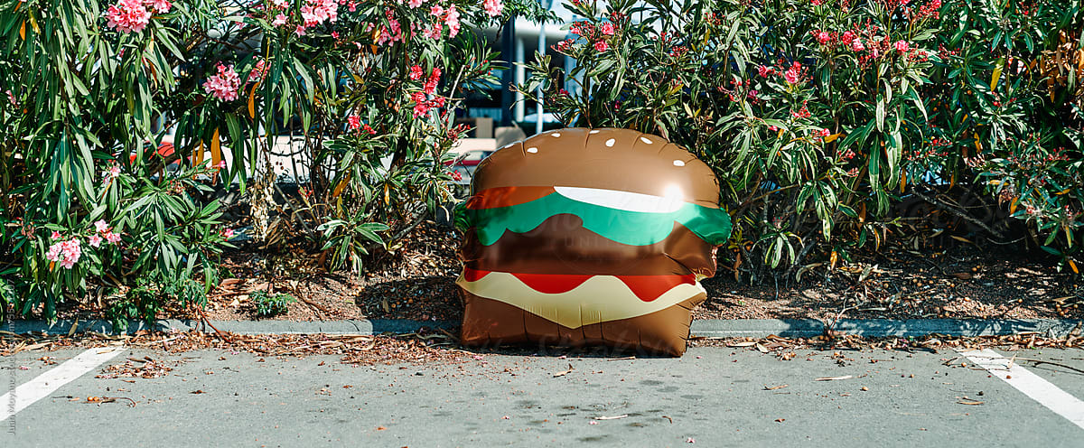 burger-shaped balloon on the floor, banner format