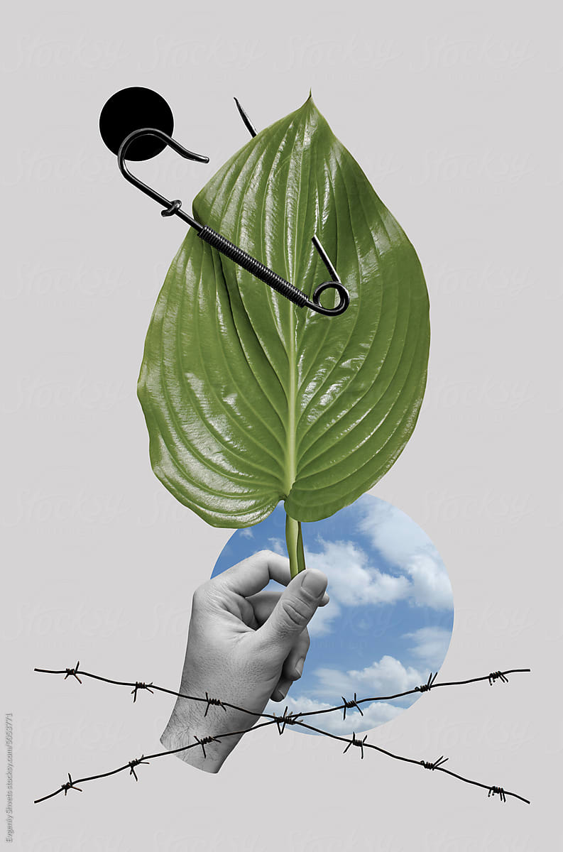 Collage art with male hand holding leaf