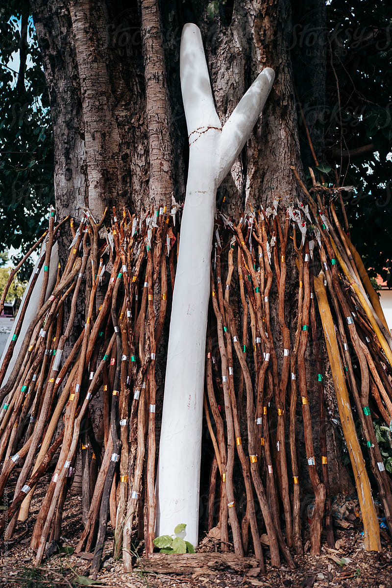 Sticks under a tree in the garden of Wat Suan Dok temple in Chiang Mai