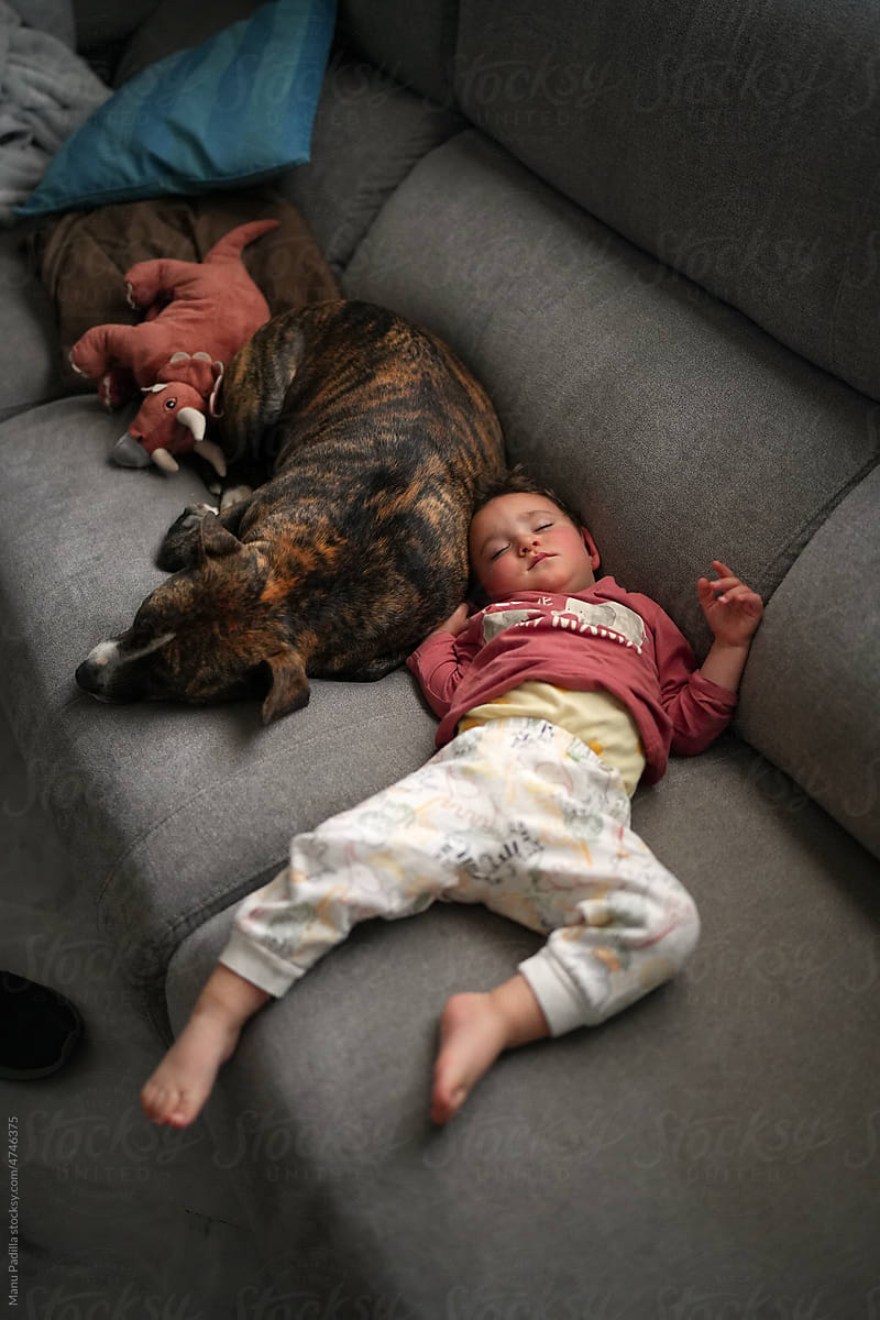 Child sleeping near cute dog
