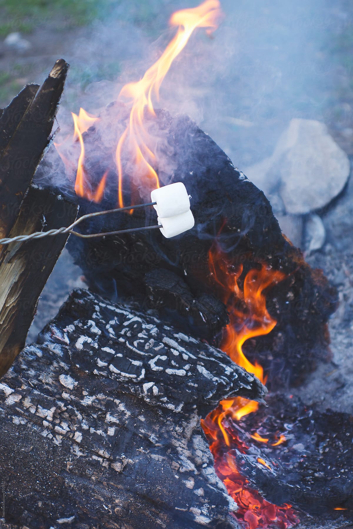 Marshmallows roasting over an open campfire