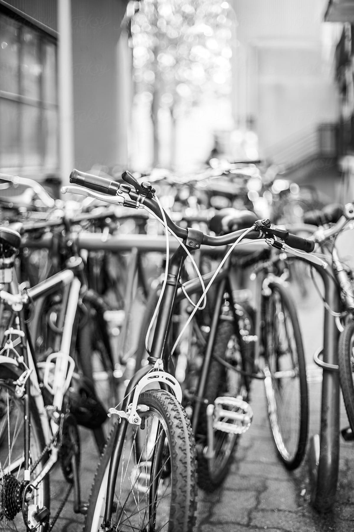 Parked bicycles in black and white