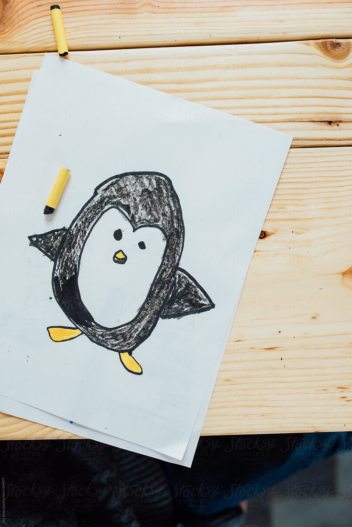 boy drawing a penguin