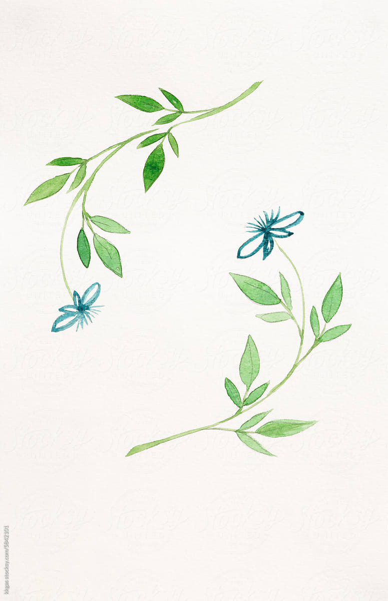 watercolor illustration of delicate flower stems