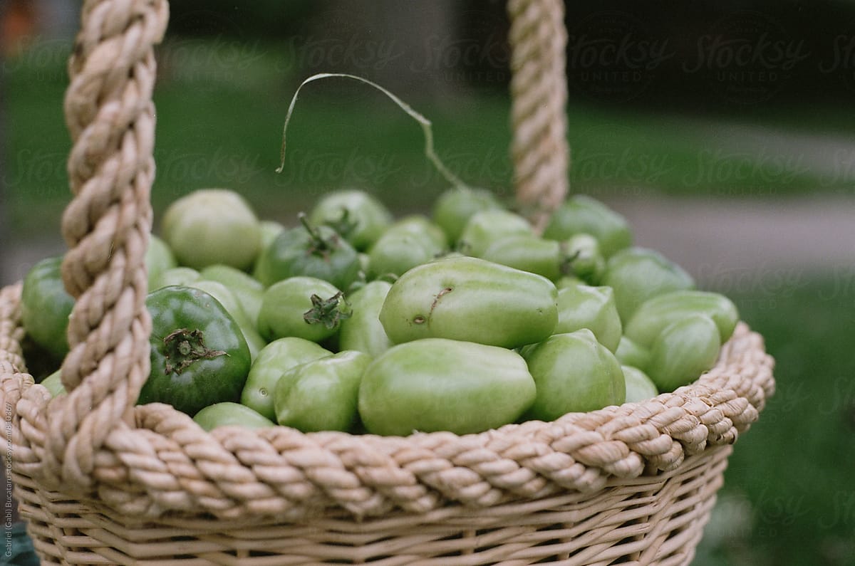 Green tomatoes in a basket