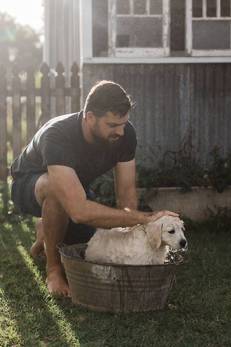 bearded man washing puppy