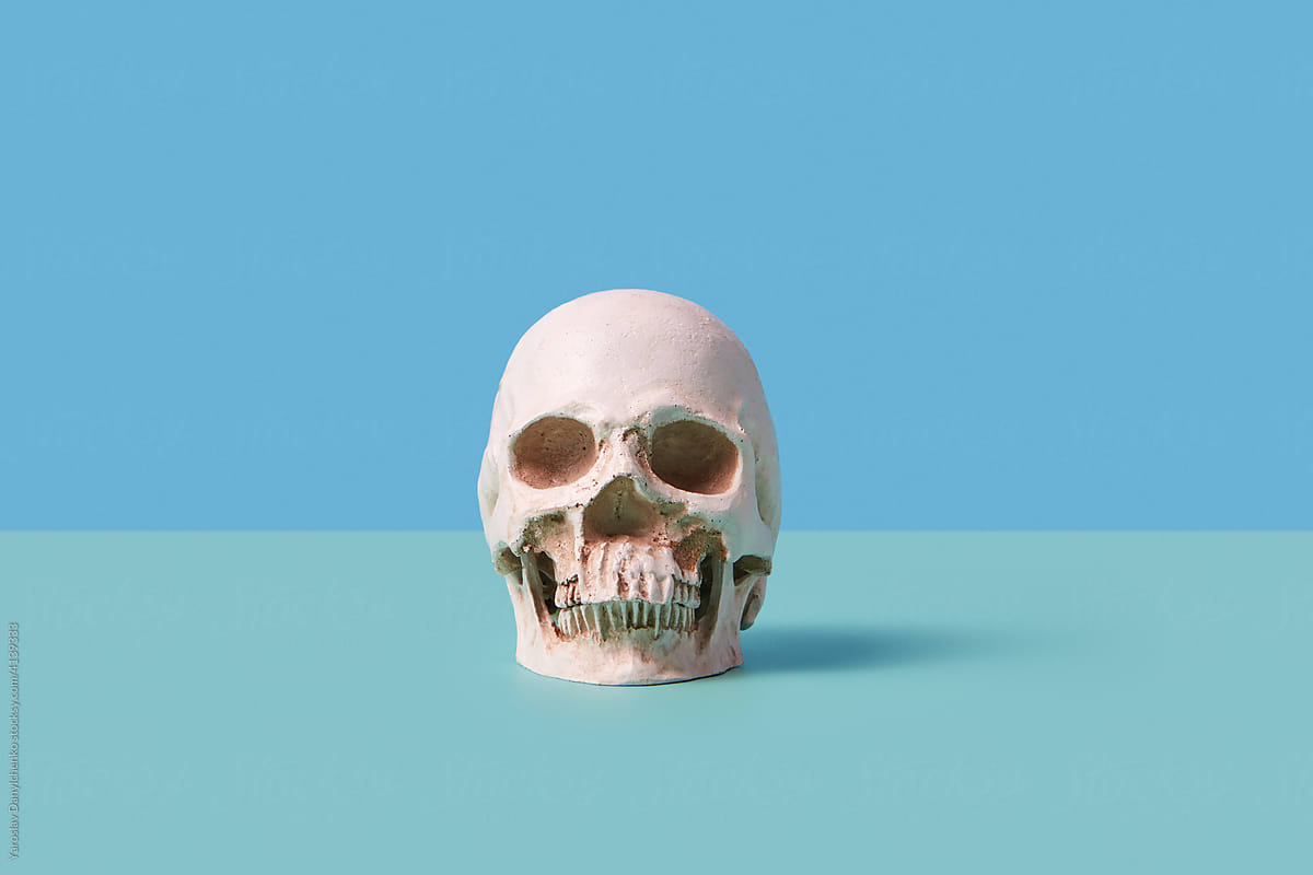Minimalistic skull