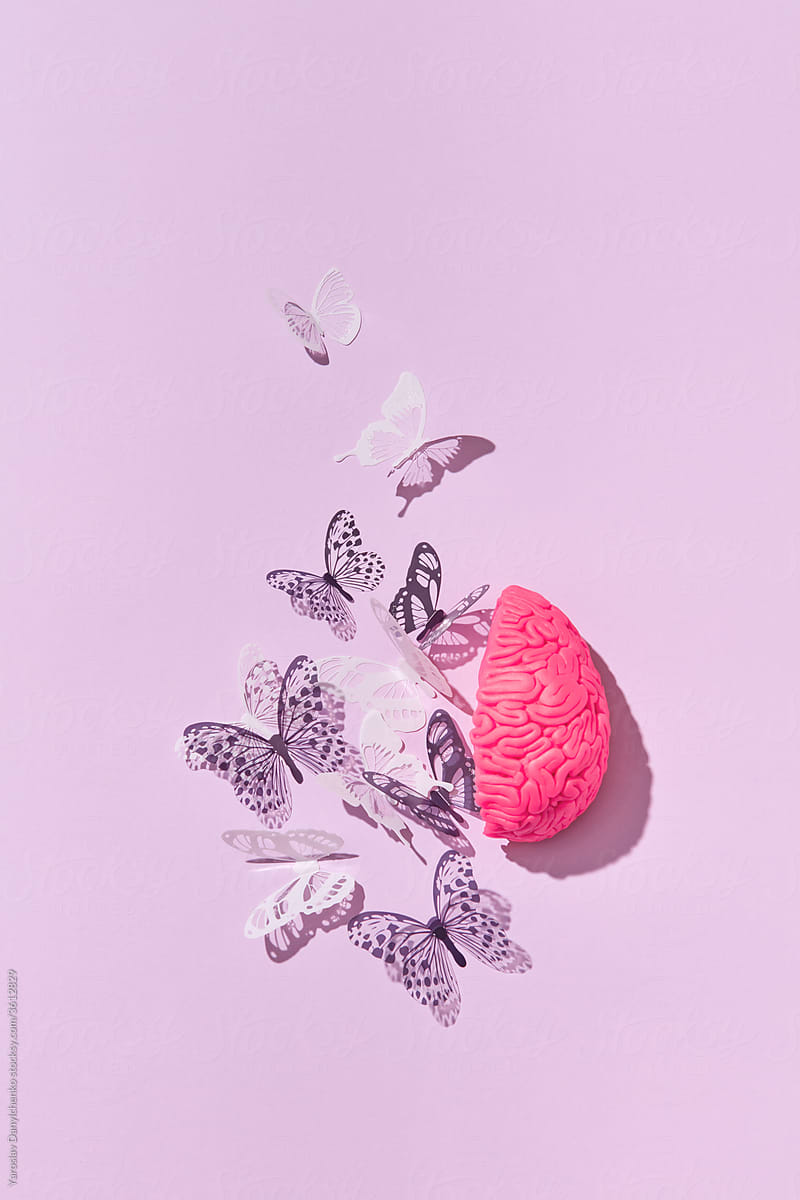 Paper butterflies and half of brain