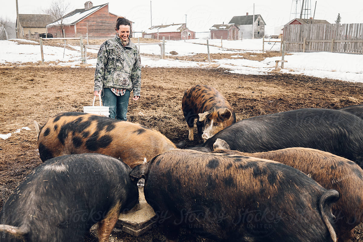 Female Farmer Smiles At Her Pigs
