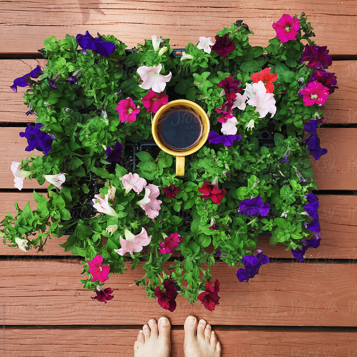 Bare feet next to cup of coffee amidst a group of colorful flowe