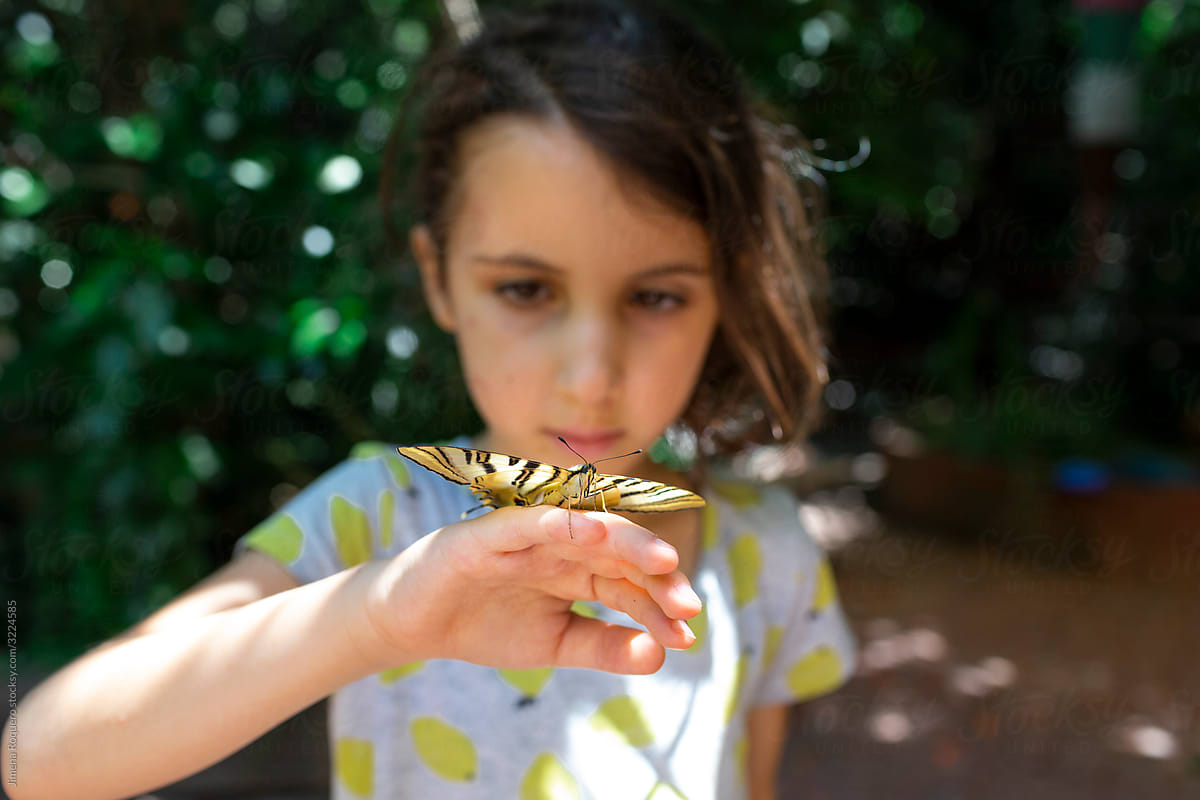 Butterfly posed on child\'s hand.