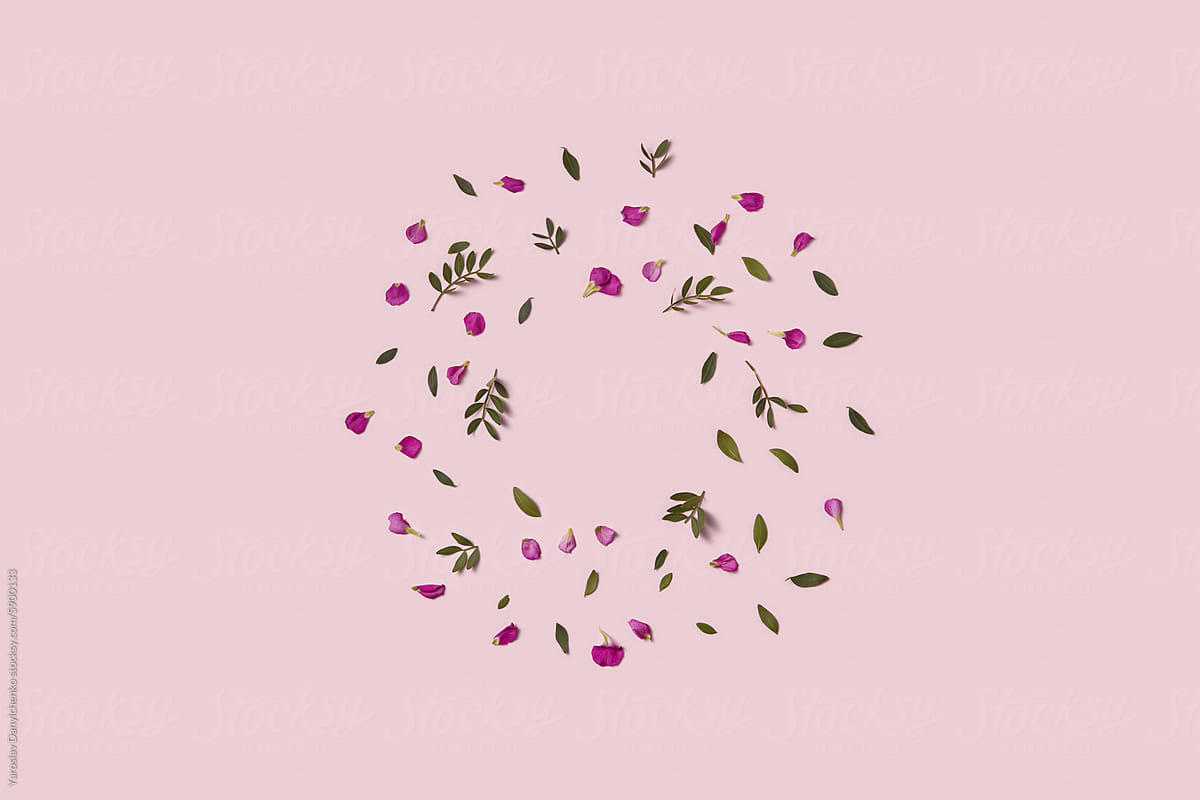 Round frame made of flower petals and leaves on pastel pink background