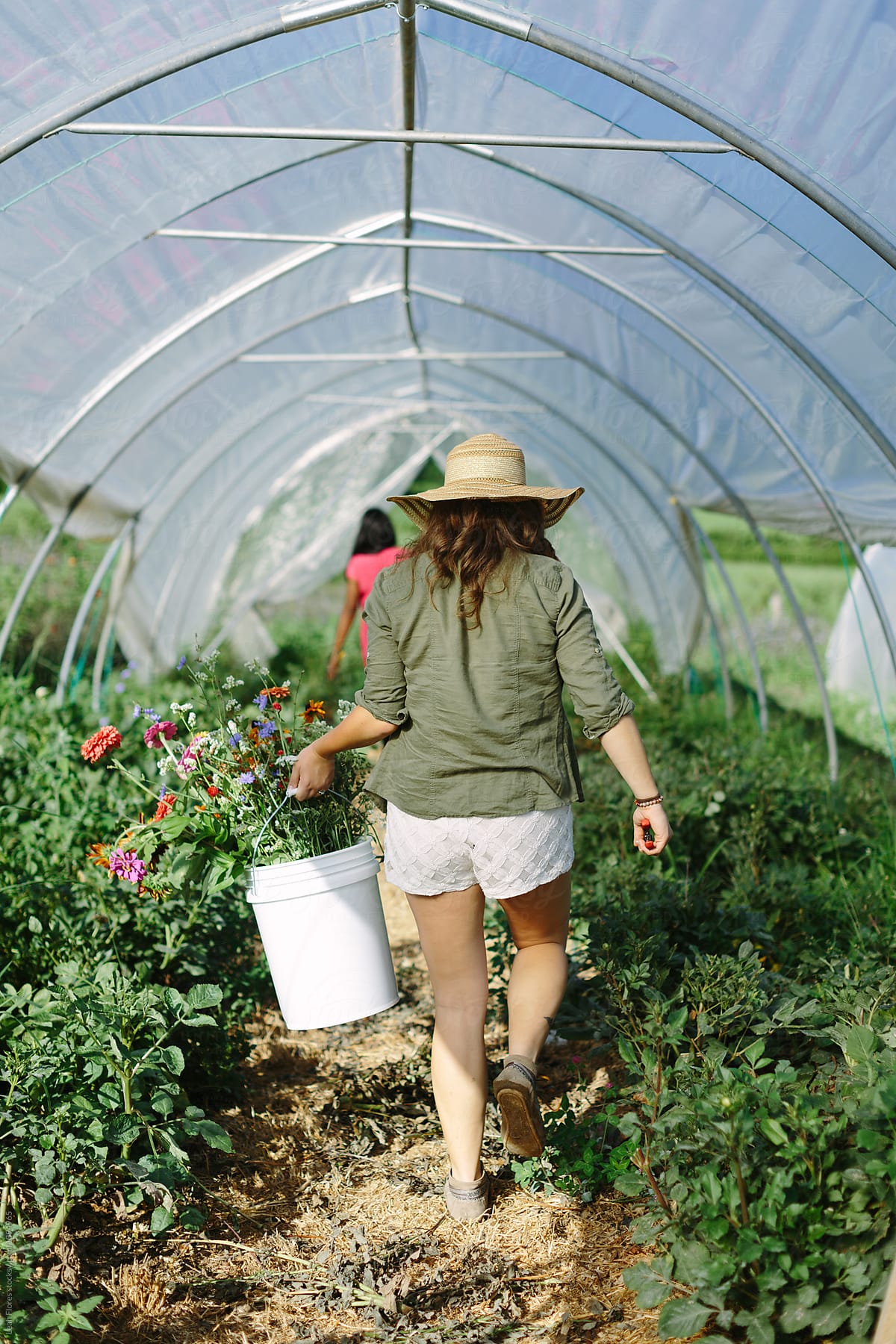 Woman Walking through Greenhouse with Bucket of Flowers