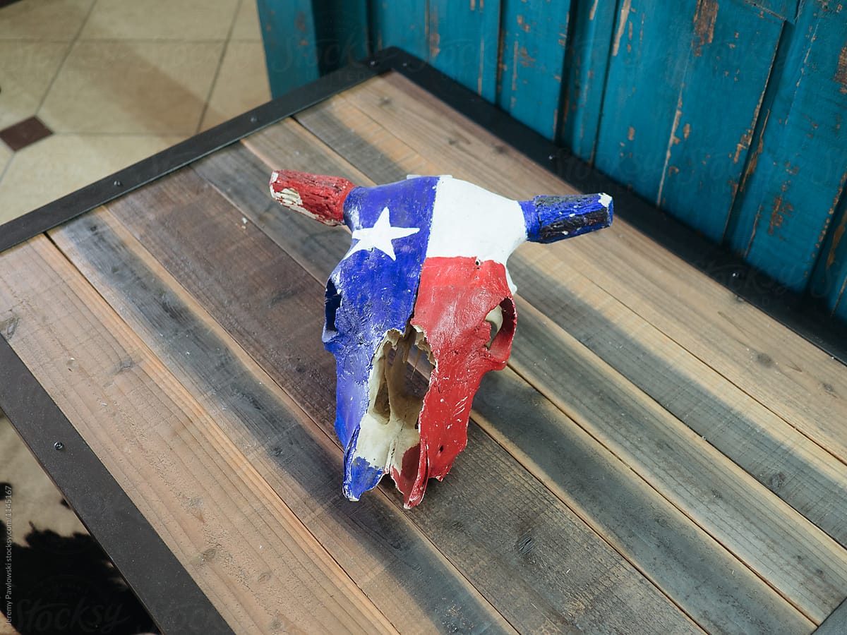Skull Painted With Texas Flag