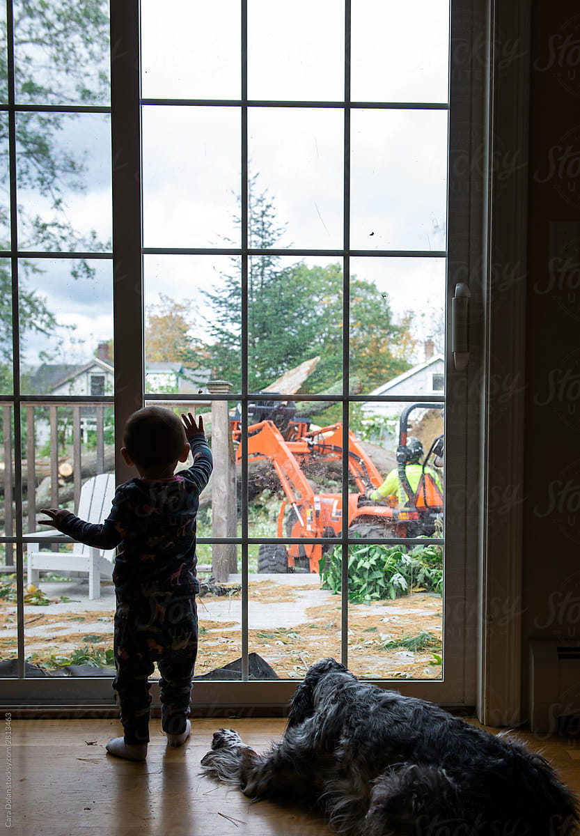 Toddler and Dog Watch Tree Workers Outside the Window
