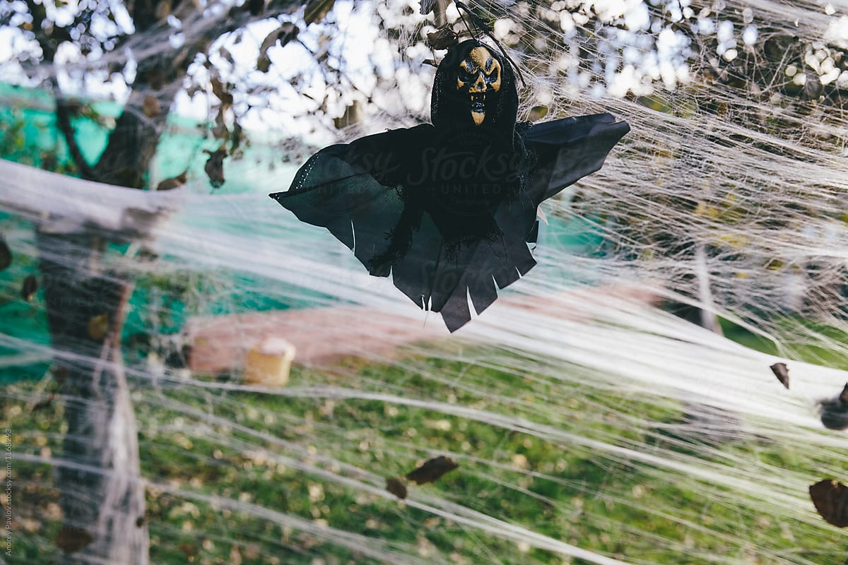 Frightening jackstraw flying in trees