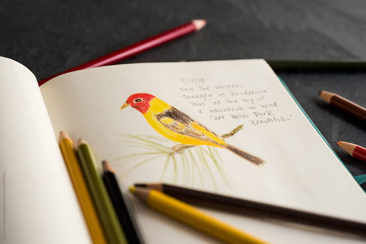 Nature Journal with a Bird