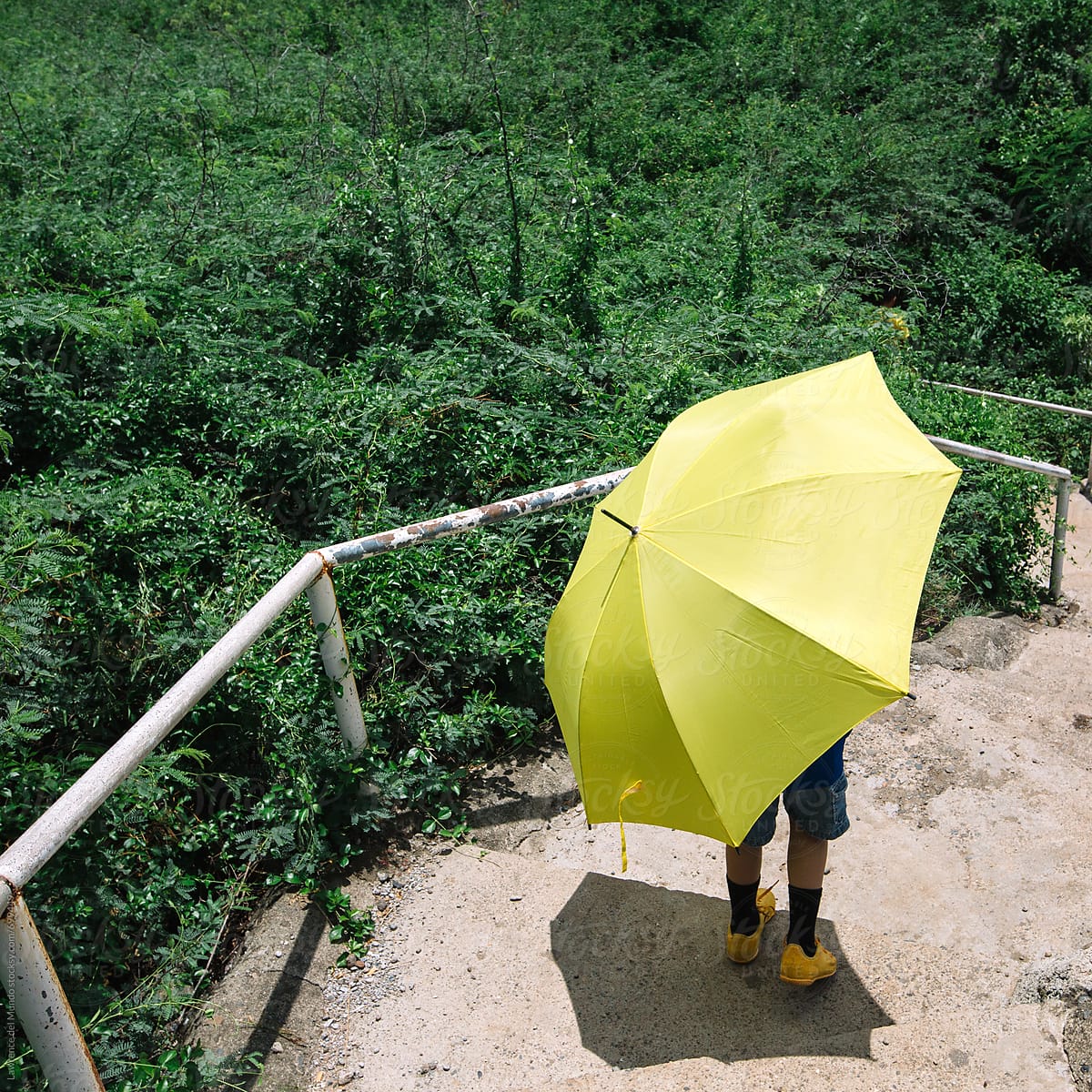 Follow the yellow umbrella