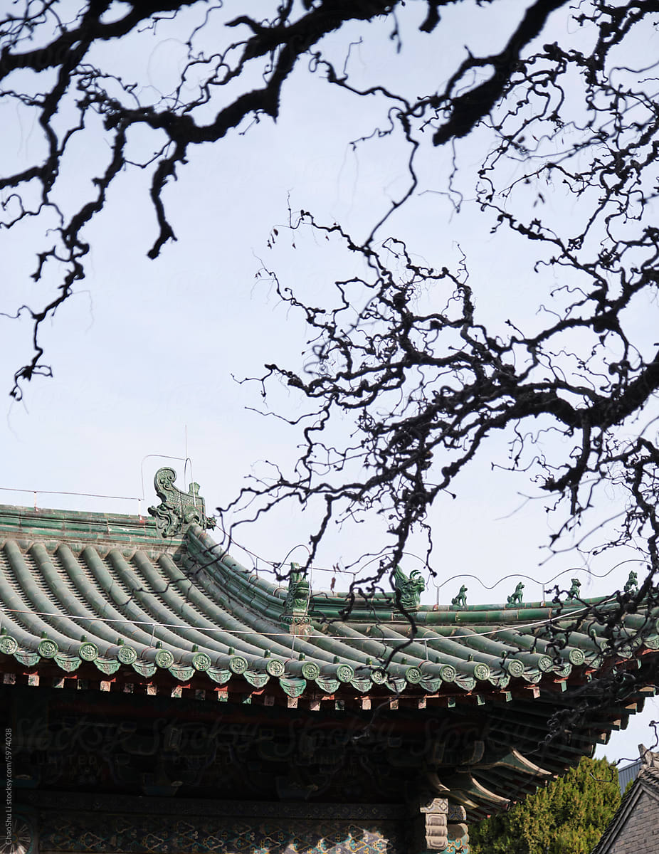 Closeup of the roof of an ancient building under the tree