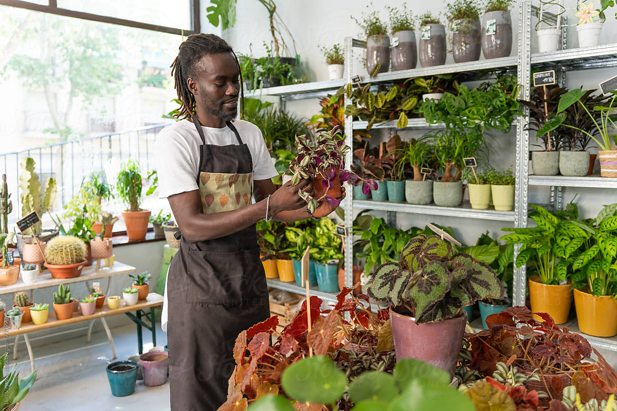 Black Man Working In A Plants Store.