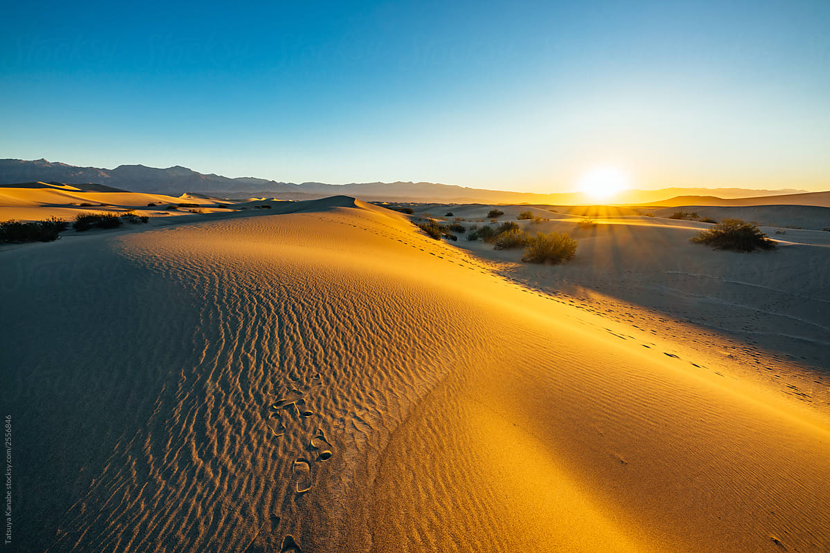 Beautifully The Sunrise Light UP The Dunes
