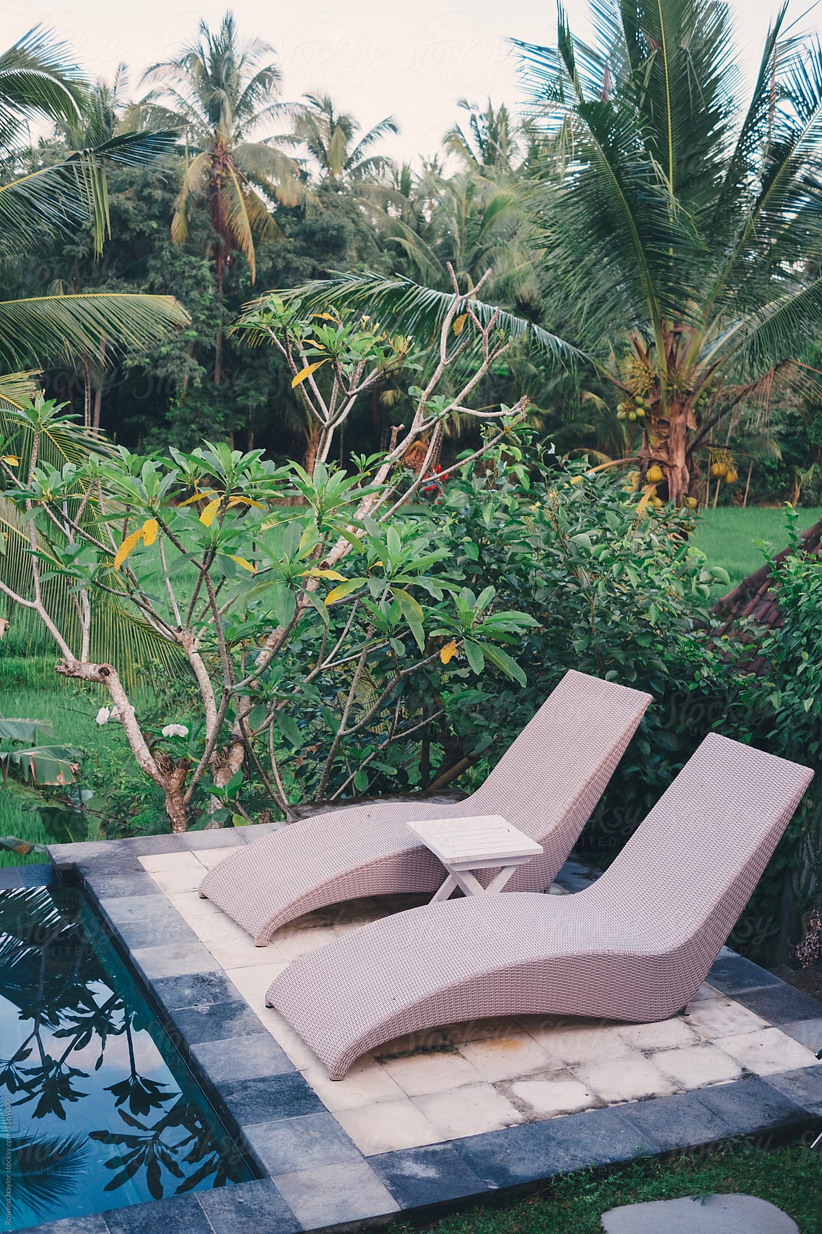 Two pool loungers next to pool set in tropical garden