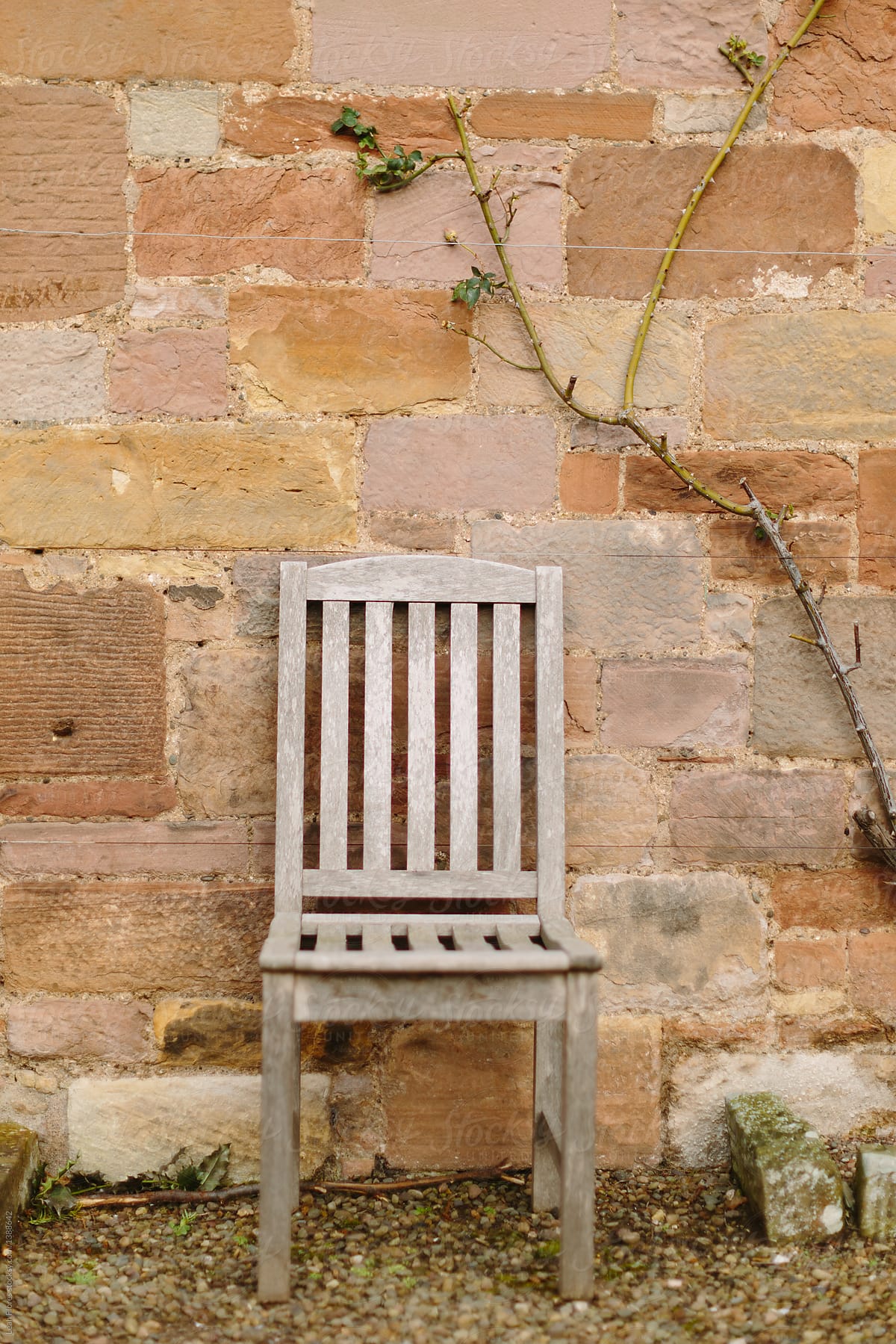 Empty Chair against Brick Wall and Vines