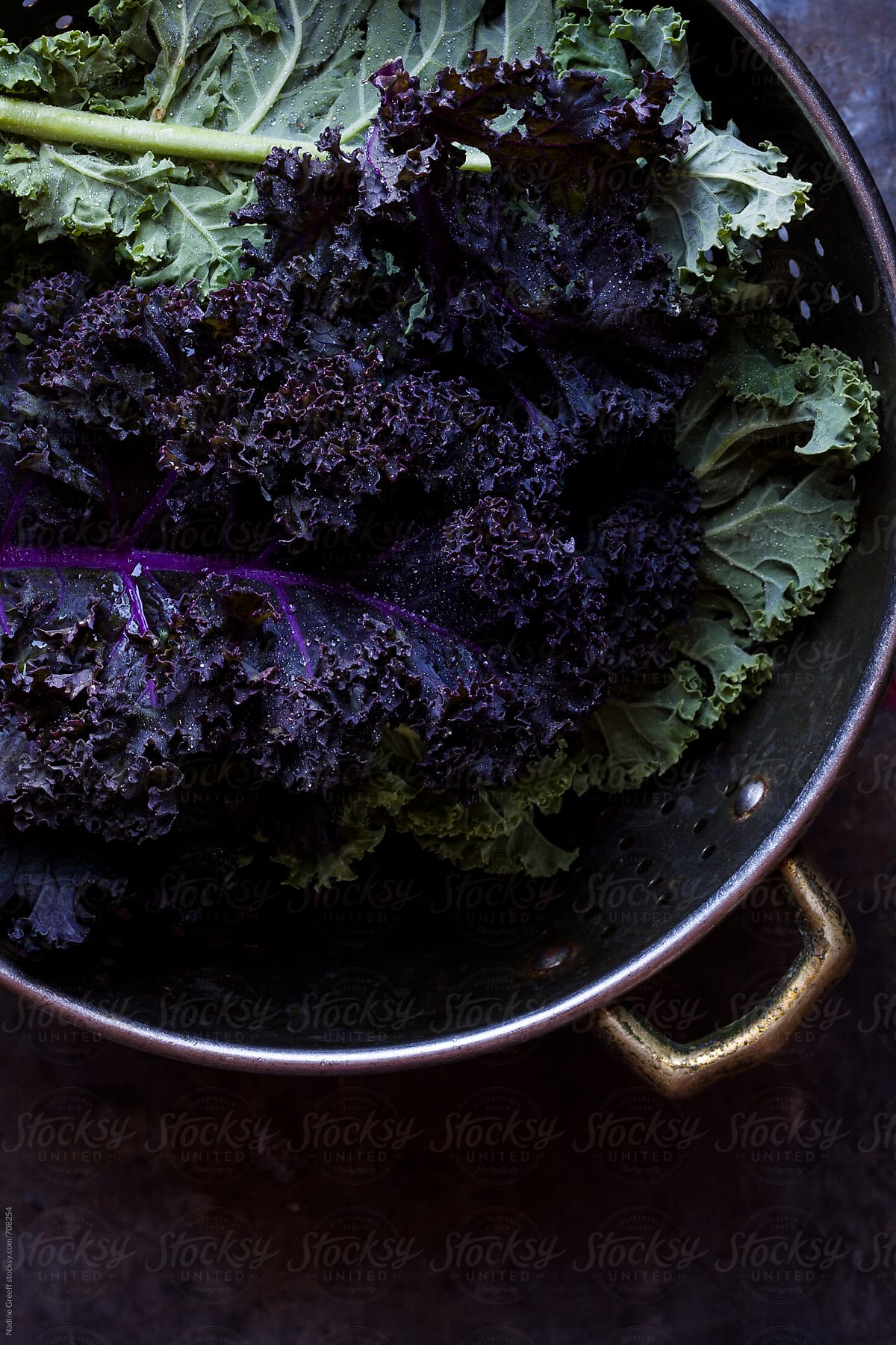 Food Green and purple kale
