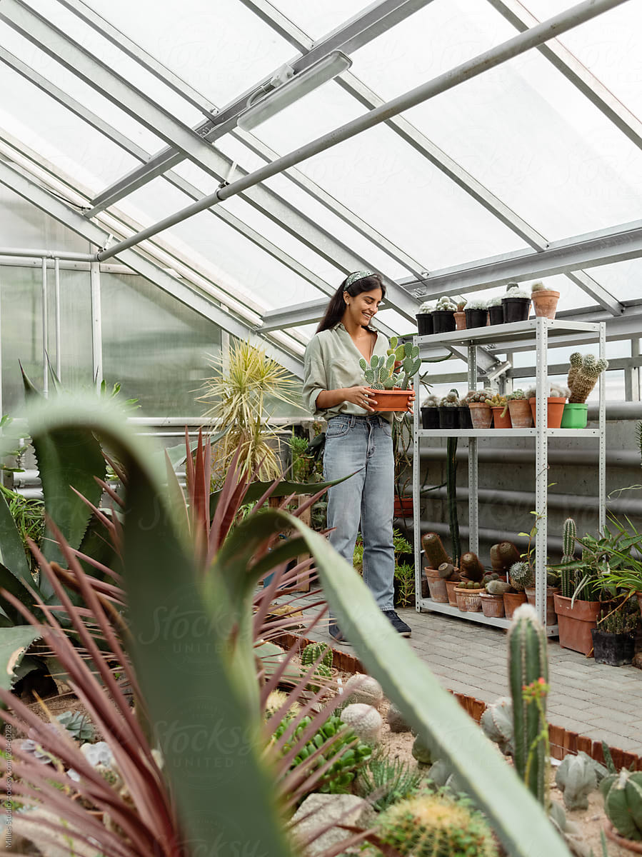 Excited woman caring of cactus in greenhouse
