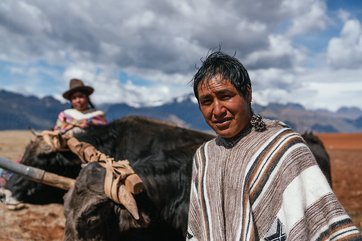 Indigenous man with ox-drawn plow