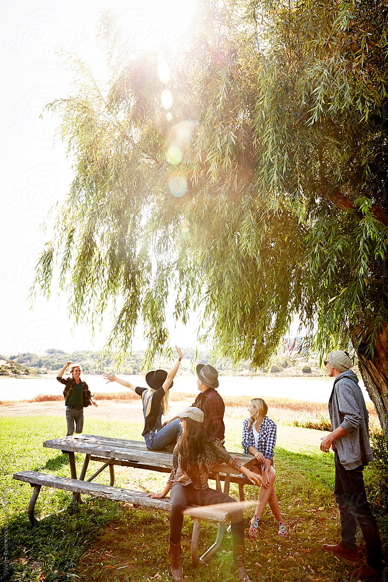 Group of friends hanging out on picnic table in park
