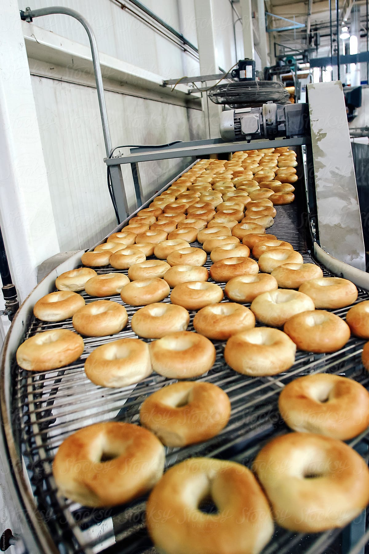 Conveyor belt with bagel food production
