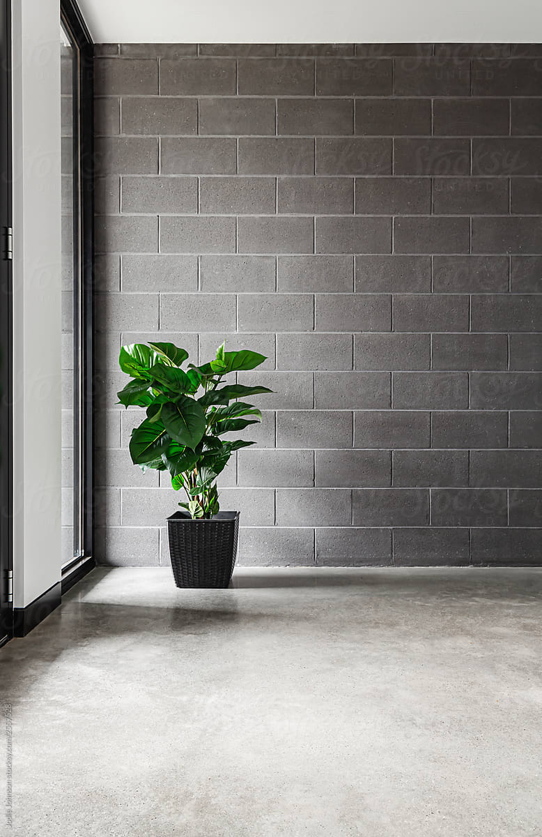 Minimalist warehouse style grey interior