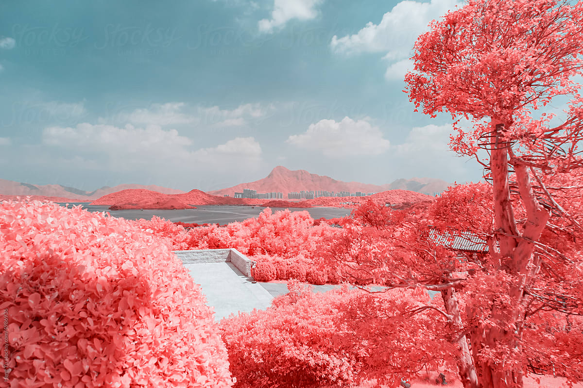 Infrared photography of  mountain and plants by sea