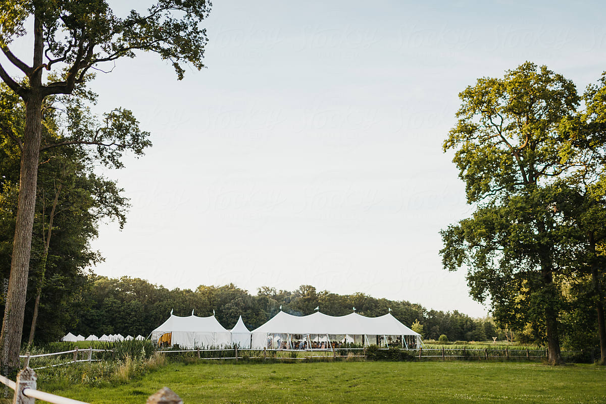 Wedding party tent on a field in between trees
