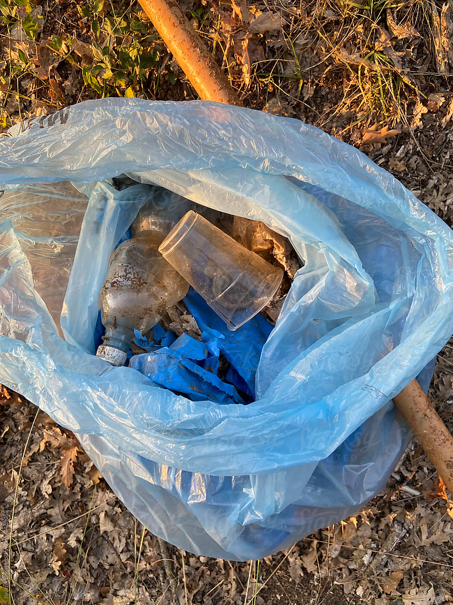 Garbage collected in a plastic bag