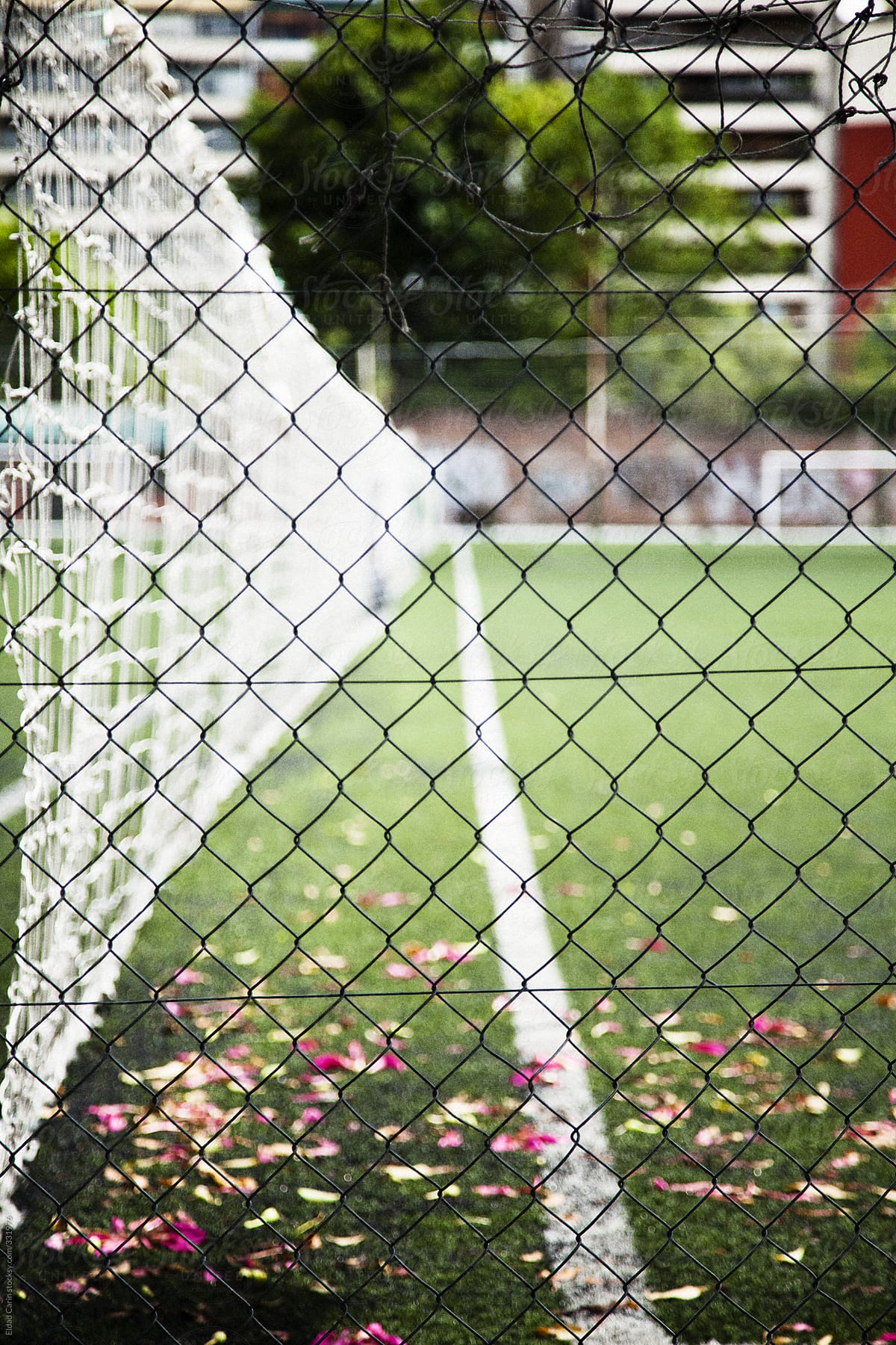 Netted Fences and Urban Soccer Court
